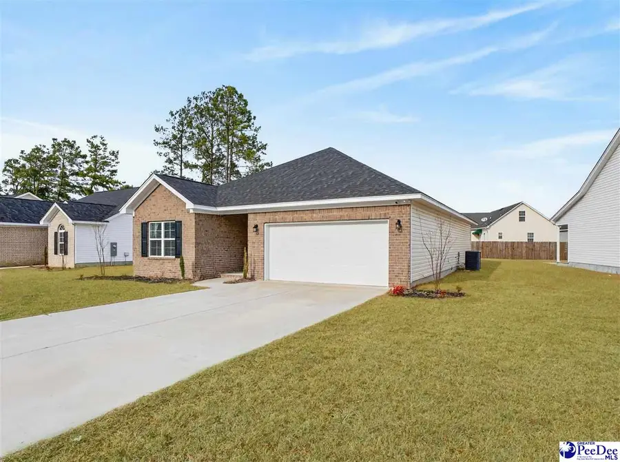 3245 Spiral Ln, Effingham, SC 29541 - #3