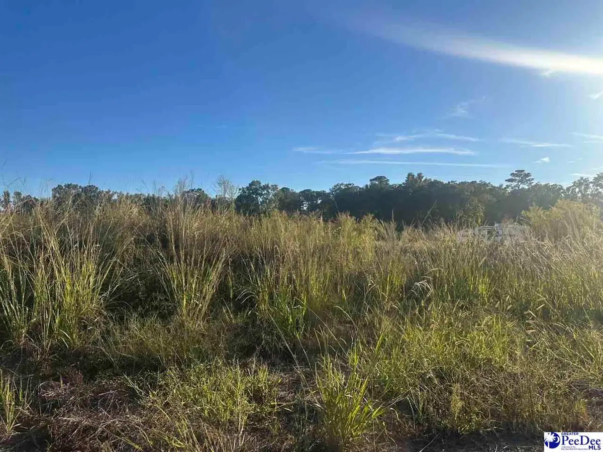 3506 Tropicana Way, Florence, SC 29501 - #1