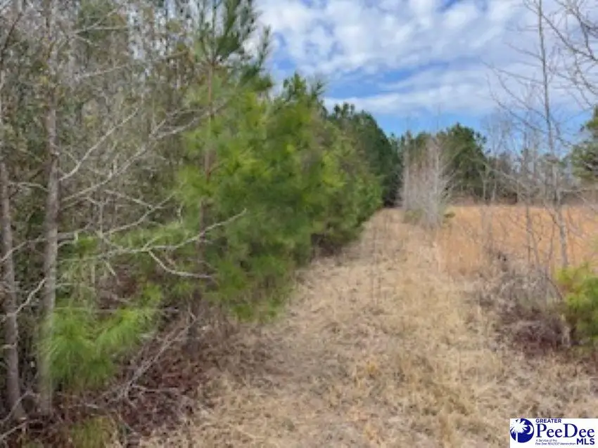 791 Moulds Rd., Lake City, SC 29560-5755 - #1