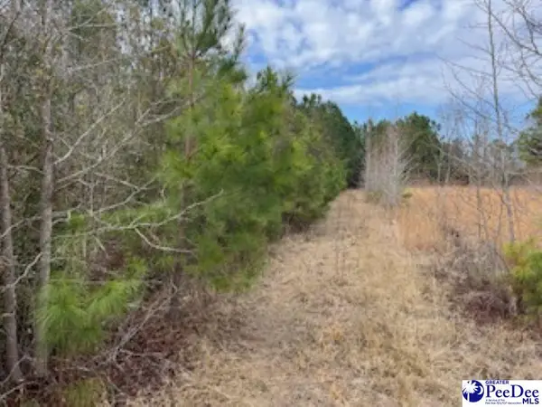 791 Moulds Rd., Lake City, SC 29560-5755