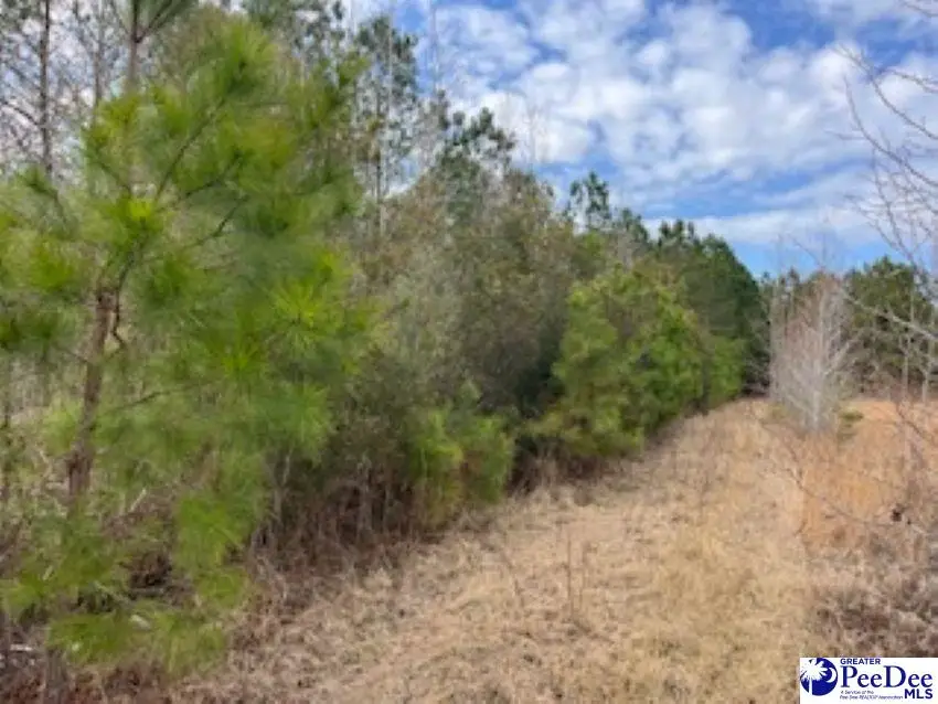 791 Moulds Rd., Lake City, SC 29560-5755 - #3