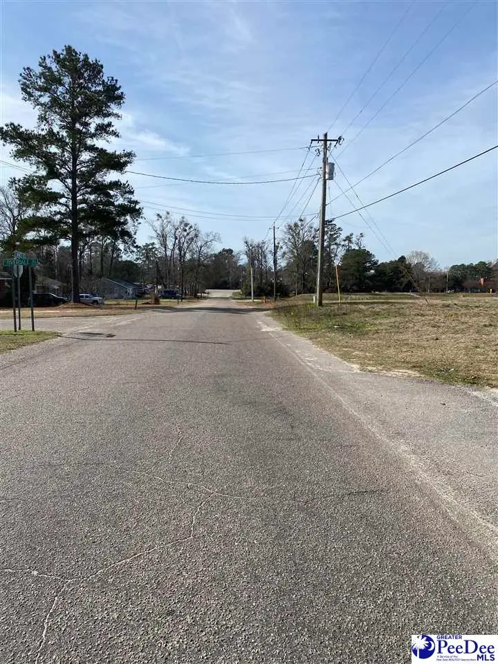 2511 S Vance Drive, Florence, SC 29501 - #2