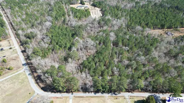 6.75 Acres Silver Leaf Rd, Florence, SC 29505