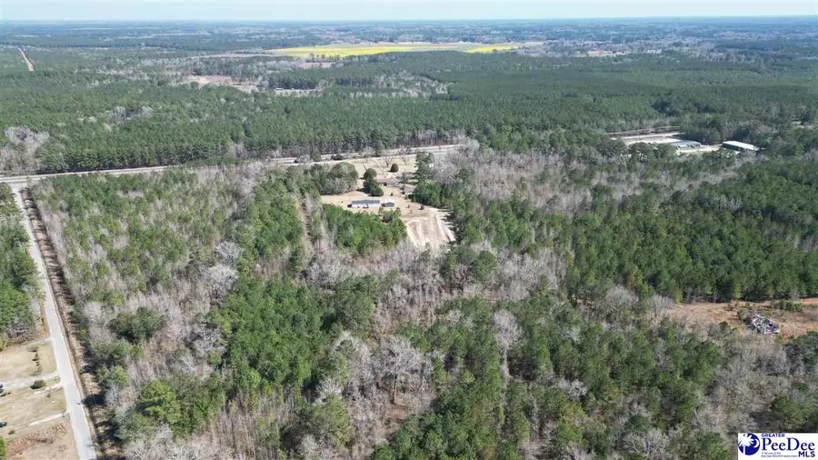 6.75 Acres Silver Leaf Rd, Florence, SC 29505 - #3