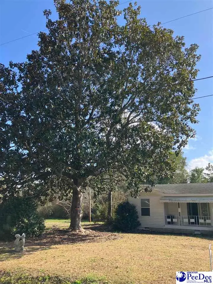 67 Harmon St, Hemingway, SC 29554 - #2