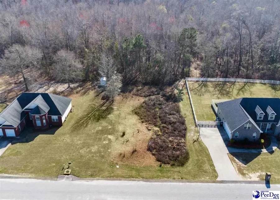 TBD Lot 26 Crickentree Lane, Darlington, SC 29532 - #3