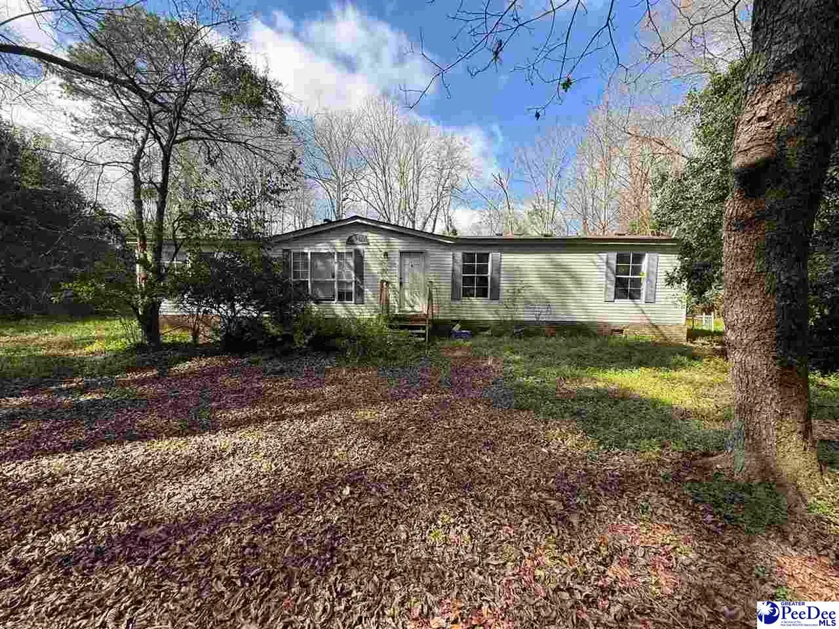 3725 Bobwhite Trail, Effingham, SC 29541 - #1