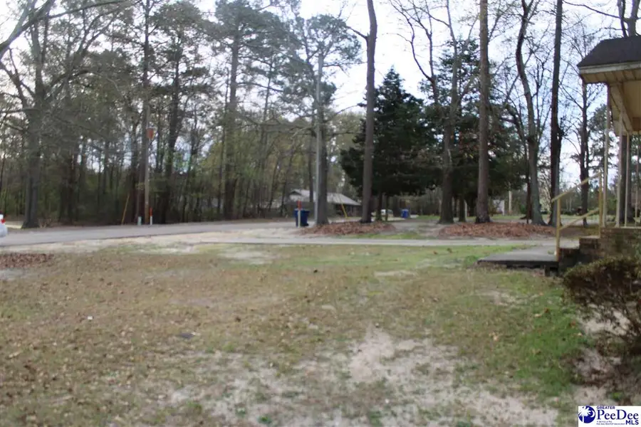 165 Pinestraw Rd., Bennettsville, SC 29512 - #3
