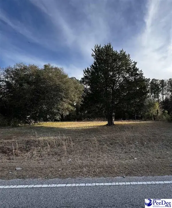 168 Im Graham Road, Kingstree, SC 29556-6057