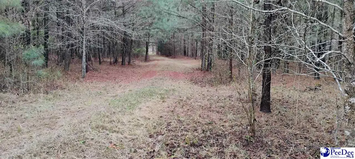 5103 Wheeler, Coward, SC 29530 - #1