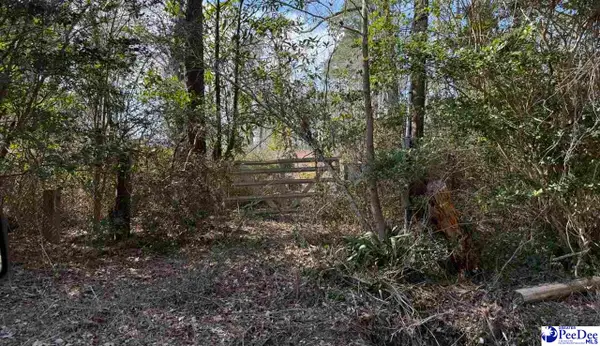 331 Lookout Ct., Marion, SC 29571