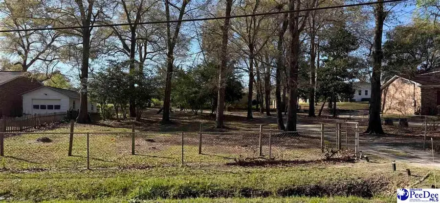 916 E Howe Springs Rd, Florence, SC 29505 - #3