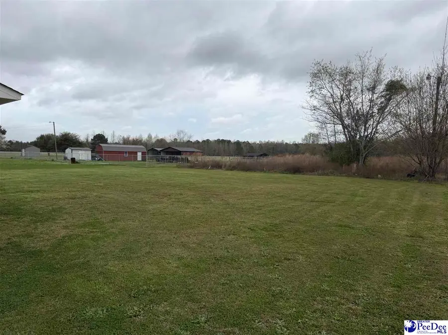 206 Retired Ave, Marion, SC 29571 - #3