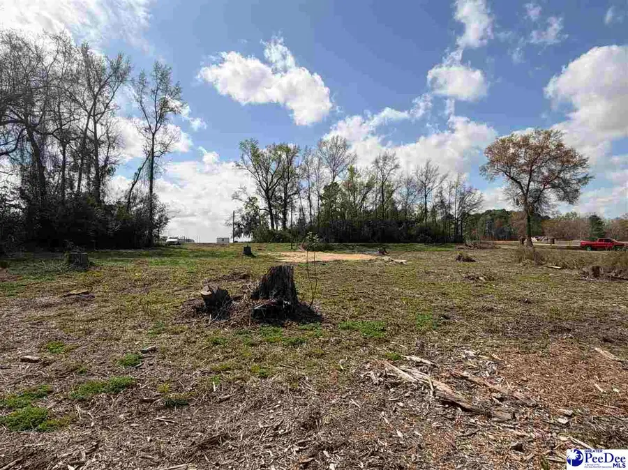 TBD Mclaurin Lake Circle, Dillon, SC 29536 - #2