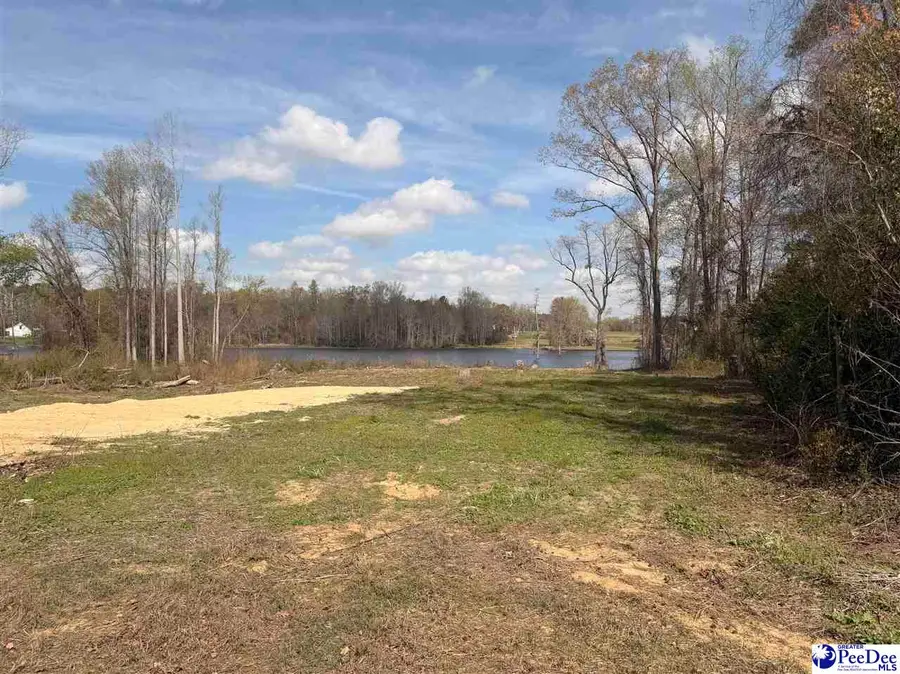 TBD Mclaurin Lake Circle, Dillon, SC 29536 - #3