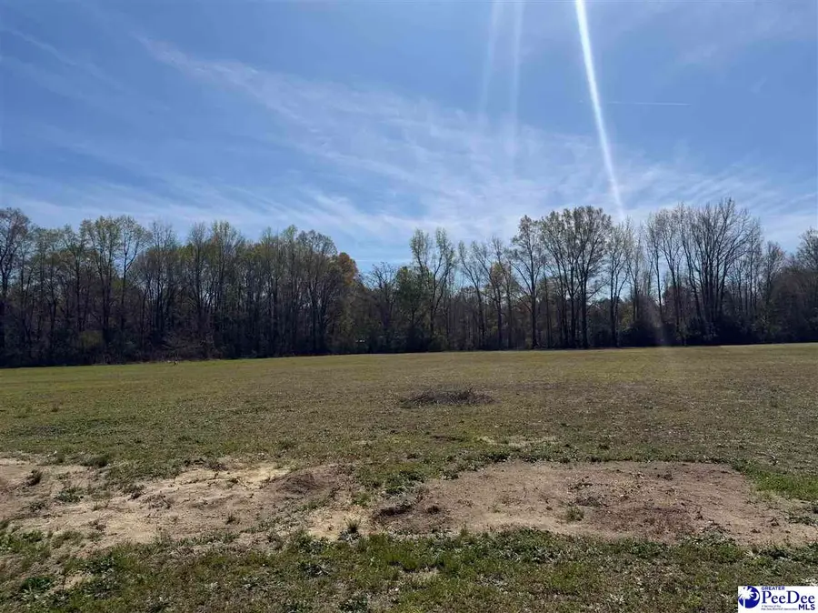 715 Henry Extension, Latta, SC 29565 - #2