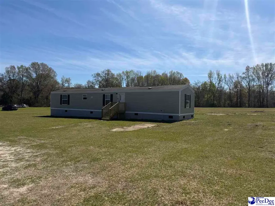 715 Henry Extension, Latta, SC 29565 - #3