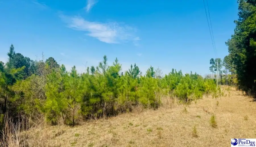 415 Hawkins Rd, Hartsville, SC 29550 - #3