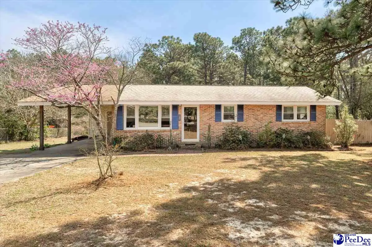 107 Hillsdale Drive, Hartsville, SC 29550 - #1