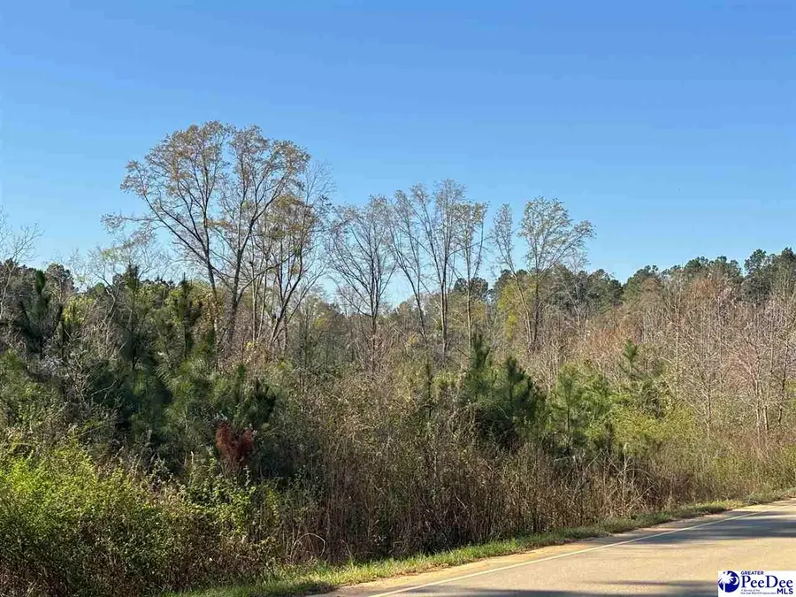 TBD Egypt Rd, Camden, SC 29020-0000 - #2