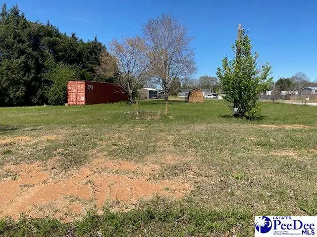 2235 Ashford Road, Effingham, SC 29541-4305 - #1