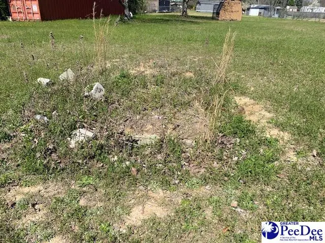 2235 Ashford Road, Effingham, SC 29541-4305 - #2