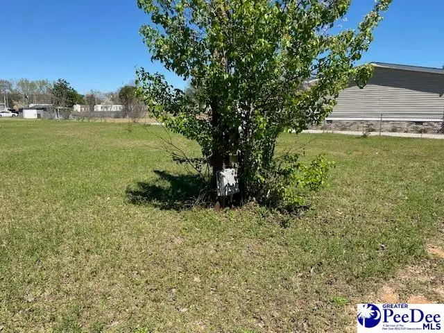 2235 Ashford Road, Effingham, SC 29541-4305 - #3