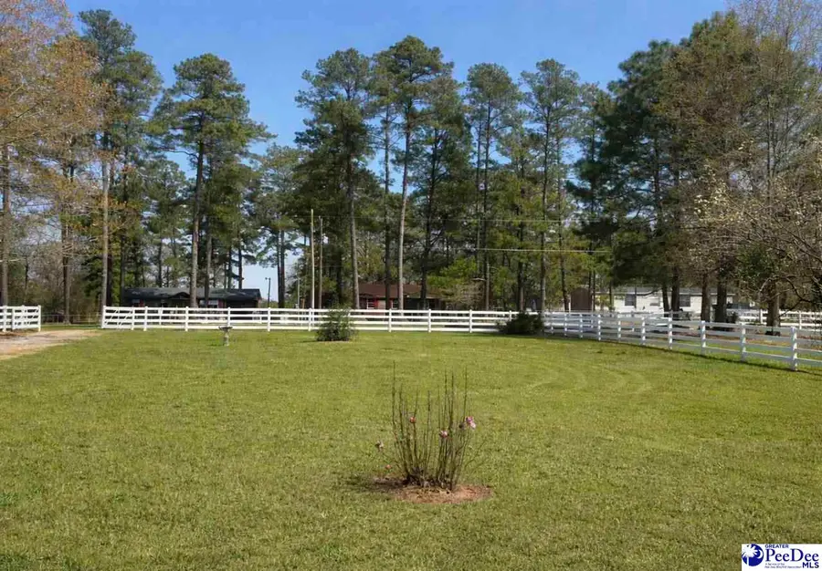 211 Rosenwald Rd, Society Hill, SC 29593 - #3