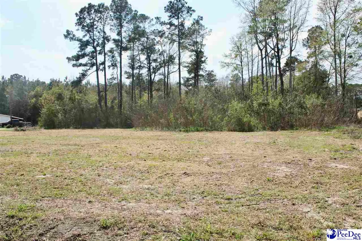 123 S Country Club Rd, Lake City, SC 29560 - #1