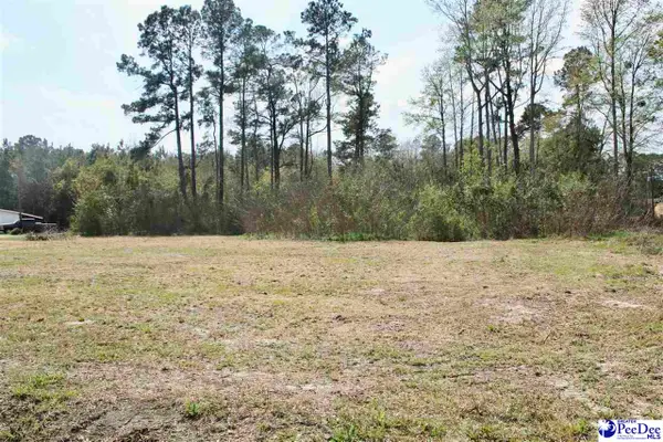 123 S Country Club Rd, Lake City, SC 29560