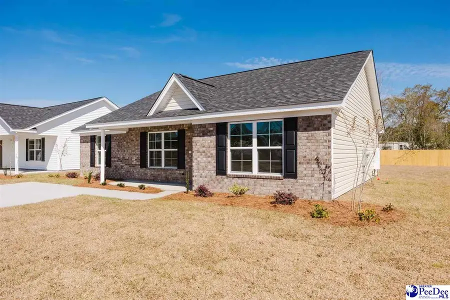 3726 Cantle Street, Florence, SC 29505 - #3