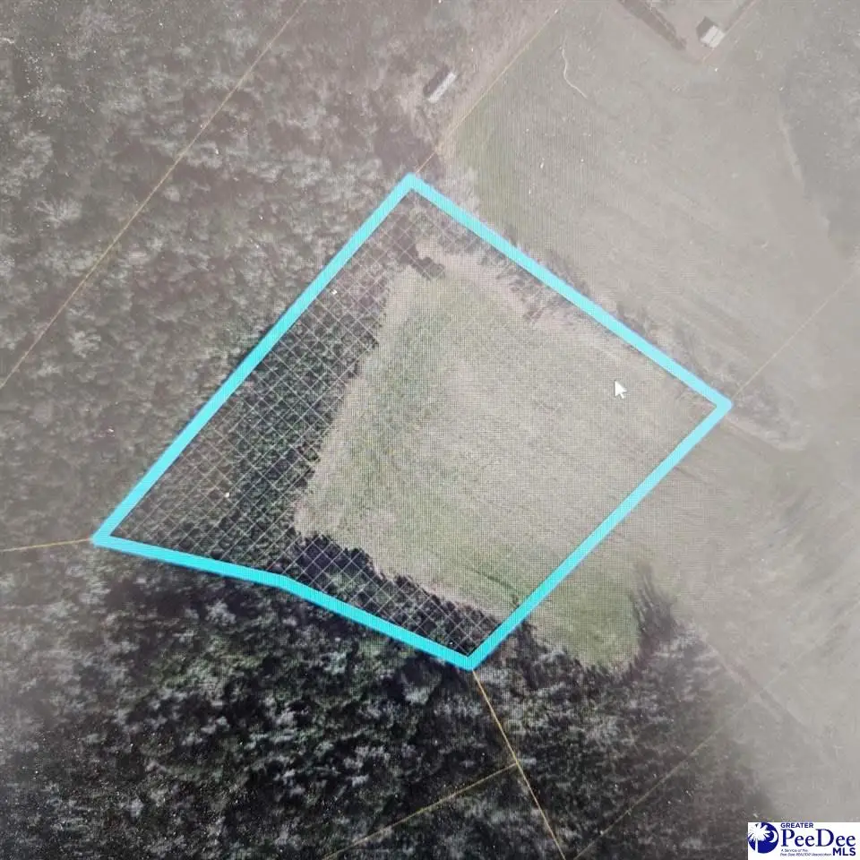 TBD Fries Bay Road, Loris, SC 29569 - #1