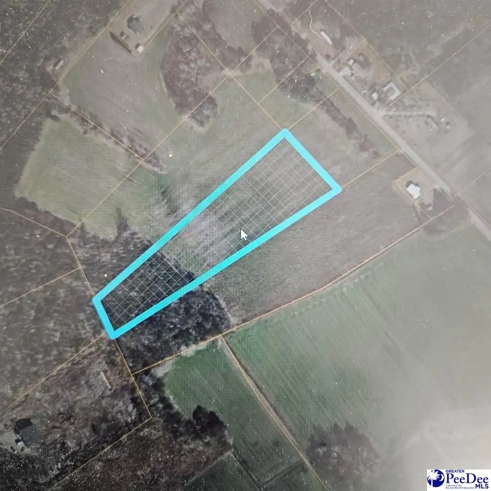 TBD Fries Bay Road, Loris, SC 29569 - #1