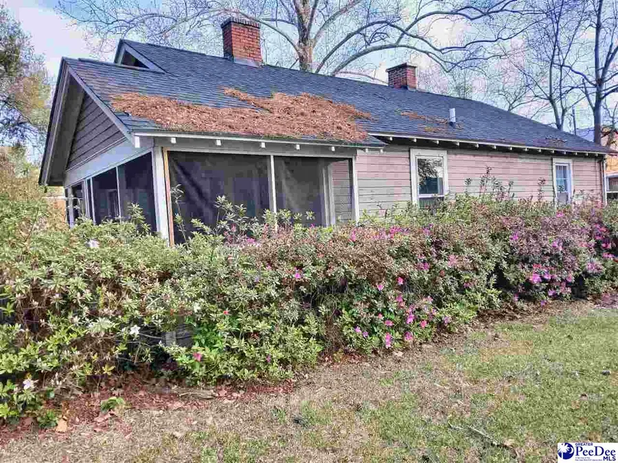 162 Seaboard Street, Cheraw, SC 29520 - #3