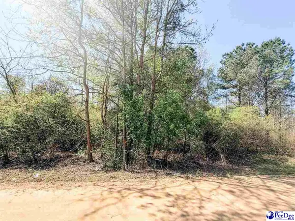 TBD Judsons Meadow Phase Ll, Little Rock, SC 29536