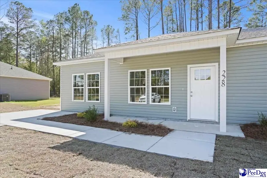 228 Promise Lane, Hartsville, SC 29550 - #2