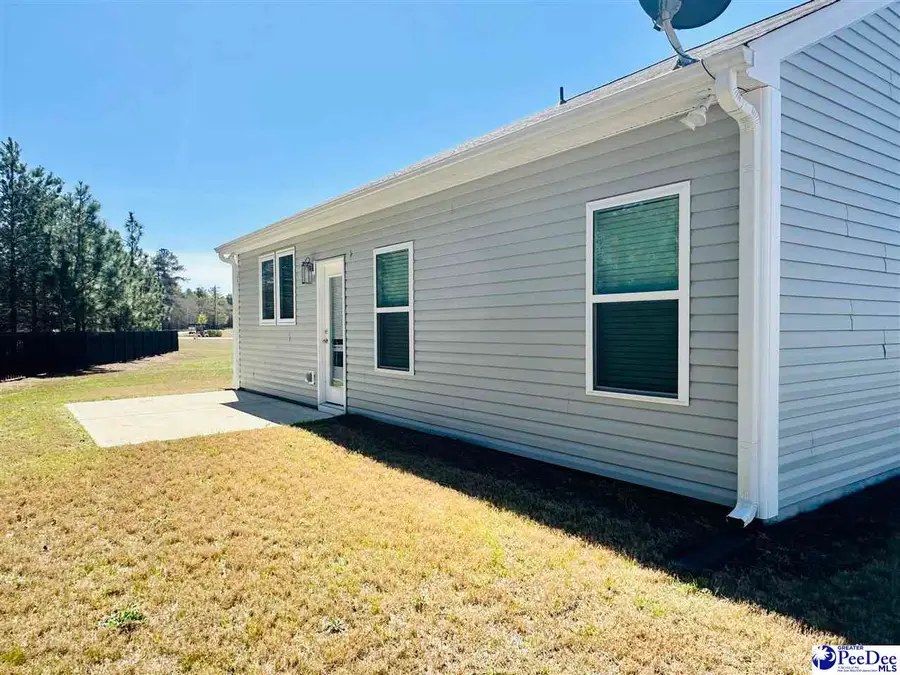 120 Charleston Gray Way, Pageland, SC 29728 - #3