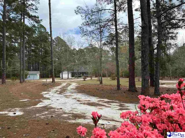 2642 Mckenzie Rd, Mcbee, SC 29101