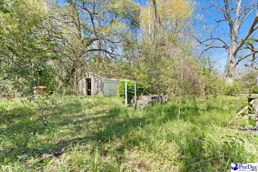 307 Madison Ave, Kingstree, SC 29556 - #2