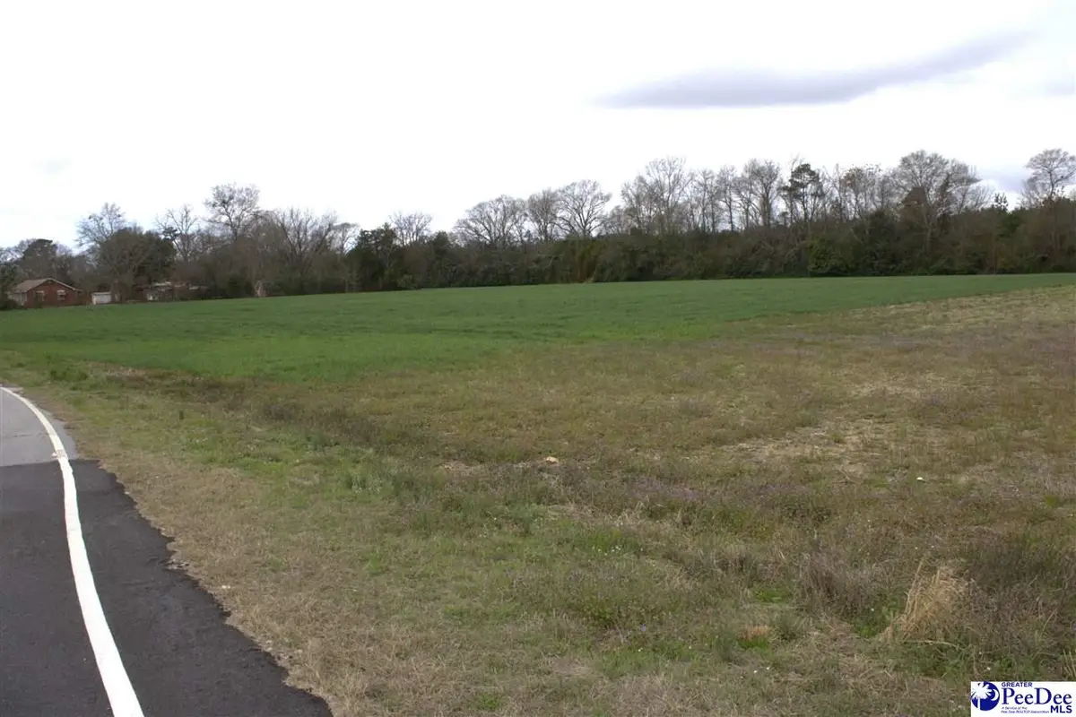 3.53 Hummingbird & Byrdtown Rd, Hartsville, SC 29550 - #1