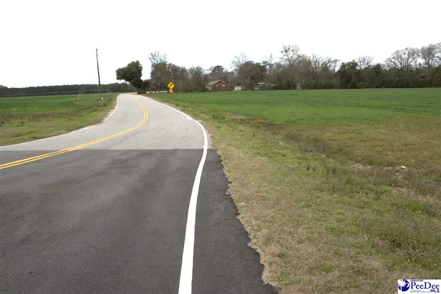 3.53 Hummingbird & Byrdtown Rd, Hartsville, SC 29550 - #3