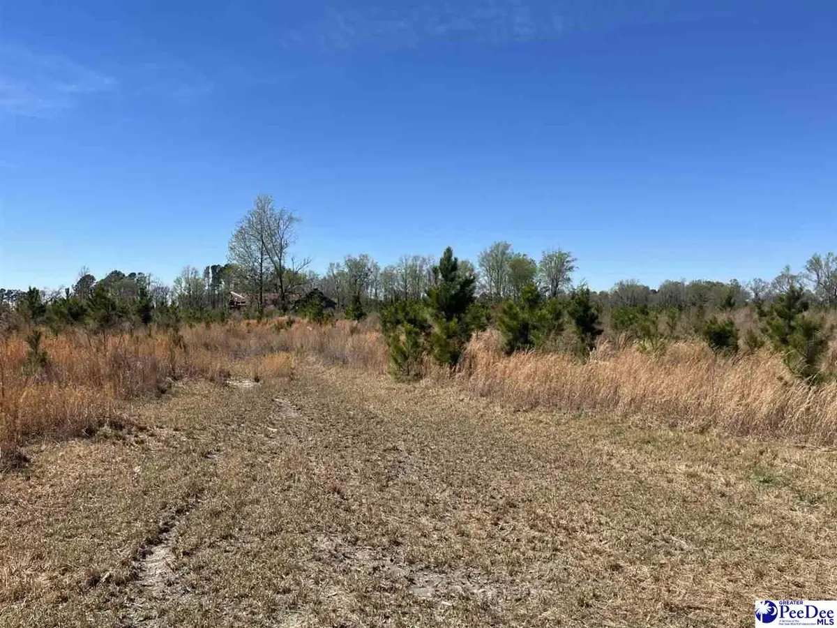 Attadale, Blenheim, SC 29516 - #1