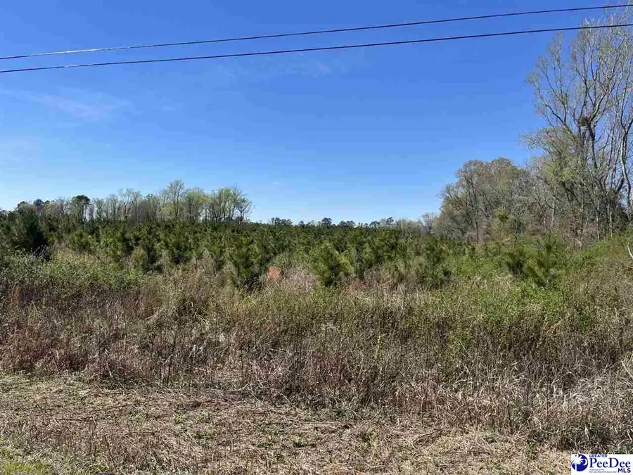 Attadale, Blenheim, SC 29516 - #2