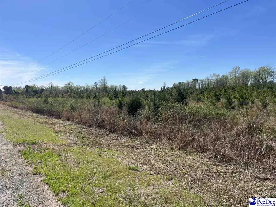 Attadale, Blenheim, SC 29516 - #3