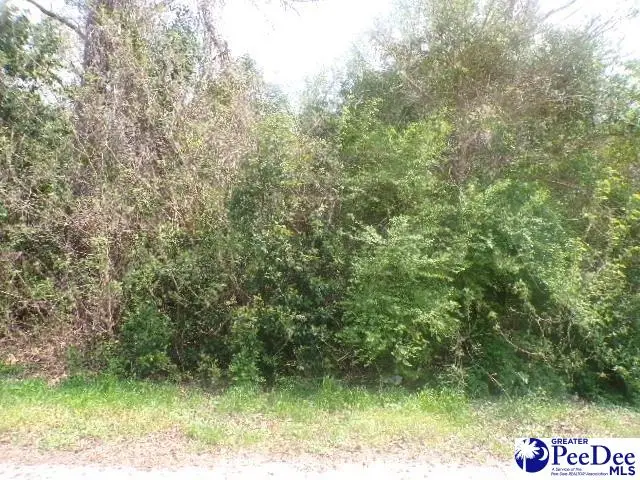 Lot 7 Easy St, Hartsville, SC 29550 - #1