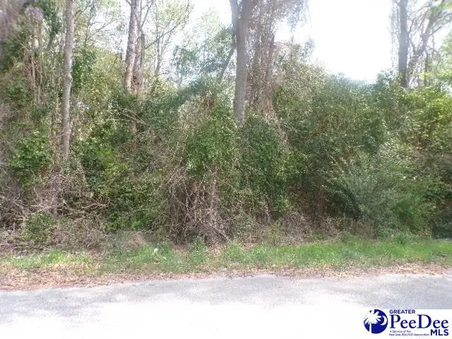 Lot 7 Easy St, Hartsville, SC 29550 - #2