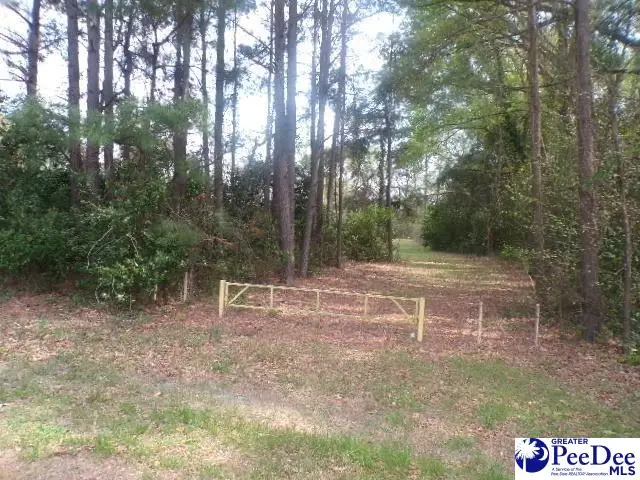 Lot 2 Easy St, Hartsville, SC 29550 - #1