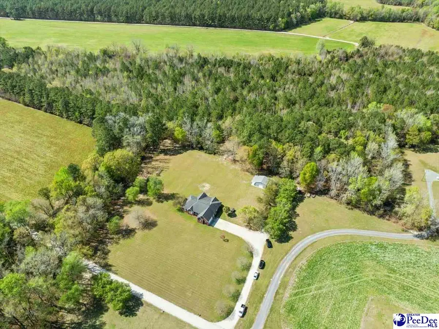 721 Redgate Road, Pamplico, SC 29583 - #2