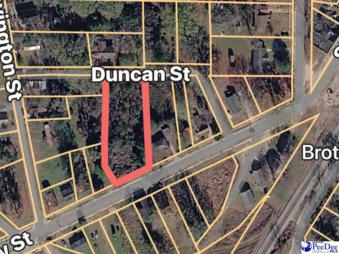 210 Henry Street, Latta, SC 29565 - #1