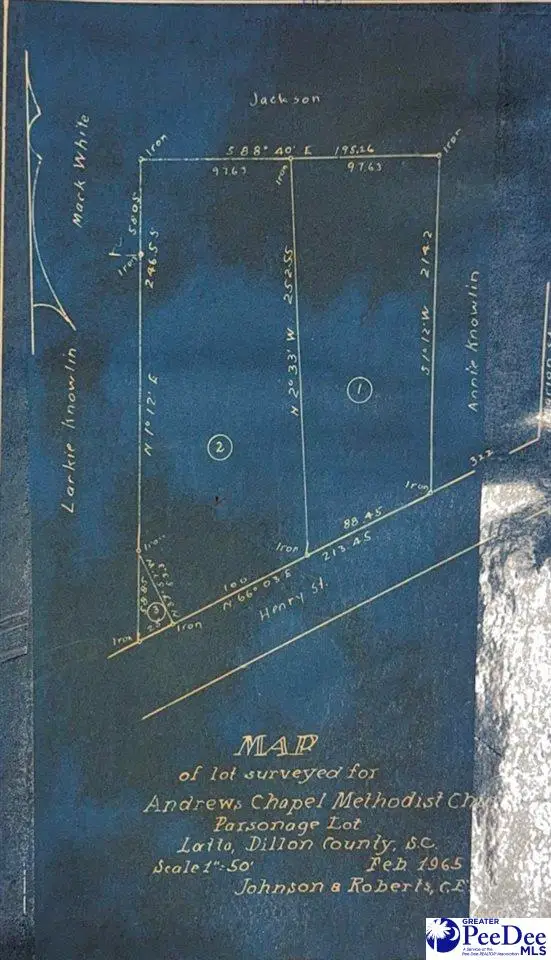 210 Henry Street, Latta, SC 29565 - #2